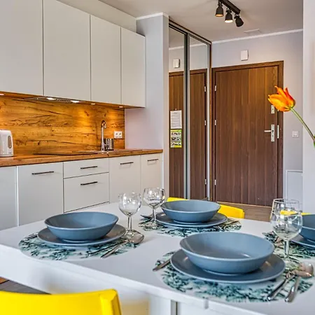 アパート Triventi Mountain By Royal Aparts カルパッチ